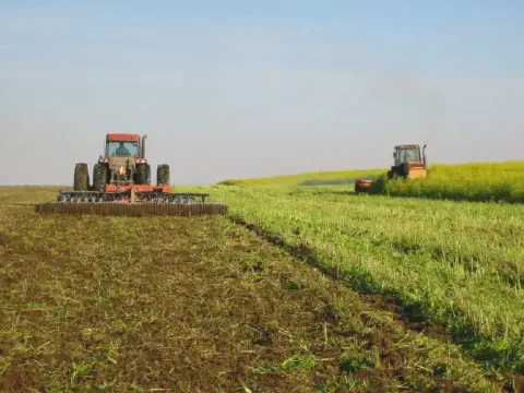 uma operação agrícola em um campo aberto sob um céu limpo. Em primeiro plano, um trator vermelho de grande por