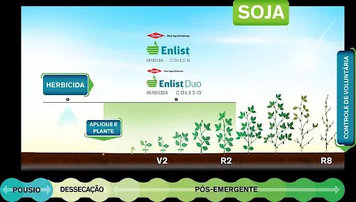 infográfico detalhado que ilustra o ciclo de vida da cultura da soja e o manejo de plantas daninhas utilizando