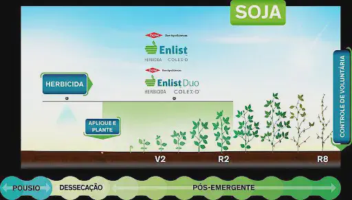 Manejo de Herbicidas Enlist nas Fases da Cultura da Soja infográfico detalhado que ilustra o ciclo de vida da cultura da soja e o manejo de plantas daninhas utilizando