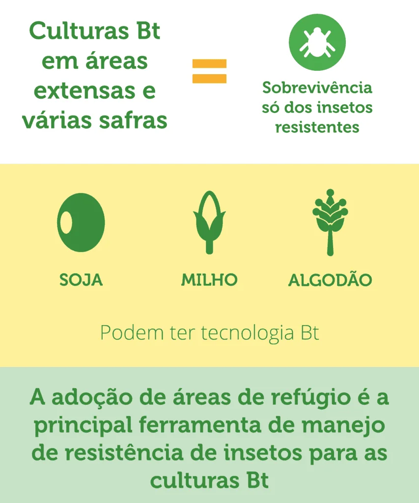 Manejo de Resistência em Culturas Bt: A Importância do Refúgio Este infográfico educacional aborda o manejo de resistência de insetos em culturas com tecnologia Bt. A imagem é dividida em