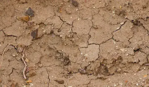 uma visão em close-up de um solo seco e rachado, de cor marrom-clara. A superfície está coberta por uma rede d