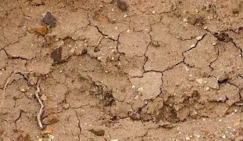 uma visão em close-up de um solo seco e rachado, de cor marrom-clara. A superfície está coberta por uma rede d