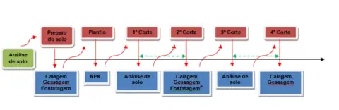 fluxograma que ilustra um cronograma de manejo do solo ao longo do ciclo de uma cultura com múltiplos corte