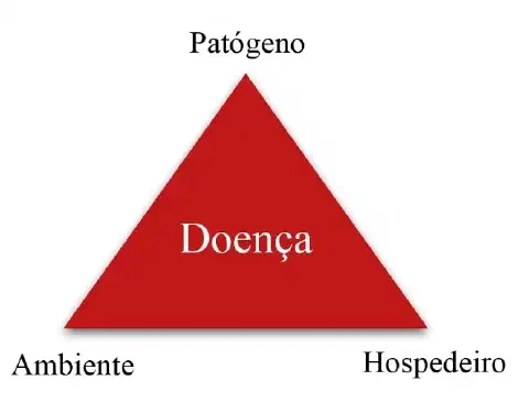 Figura 1. Triângulo da doença: interação entre patógeno, hospedeiro e ambiente para o desenvolvimento de doenças em plantas.