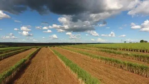 uma ampla paisagem agrícola, destacando uma grande plantação de cana-de-açúcar em diferentes estágios de manej