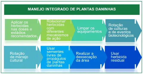infográfico educativo que detalha as principais práticas do Manejo Integrado de Plantas Daninhas (MIPD). Com um
