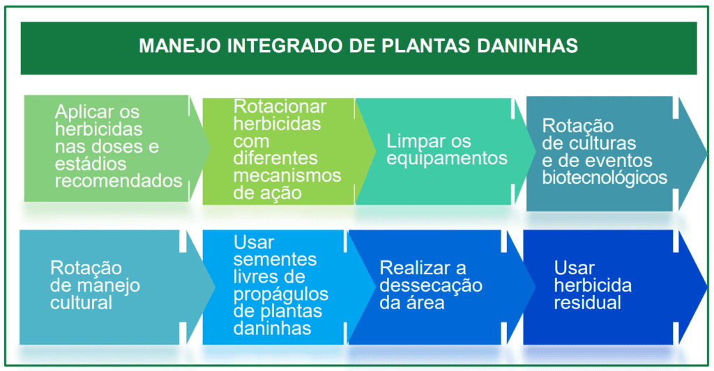 Manejo Integrado de Plantas Daninhas: Guia Prático infográfico informativo que detalha as etapas do Manejo Integrado de Plantas Daninhas (MIPD). Com um título des