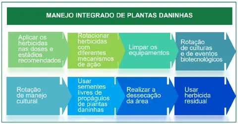 infográfico informativo que detalha as etapas do Manejo Integrado de Plantas Daninhas (MIPD). Com um título des