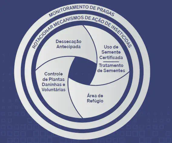 Manejo Integrado de Pragas: Estratégias Essenciais infográfico circular que detalha um conjunto de estratégias para o Manejo Integrado de Pragas (MIP) na agricult