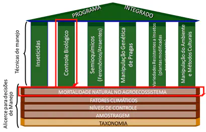 infográfico que representa o conceito de Manejo Integrado de Pragas (MIP) através da metáfora de um templo. A b