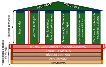 infográfico que representa o conceito de Manejo Integrado de Pragas (MIP) através da metáfora de um templo. A b