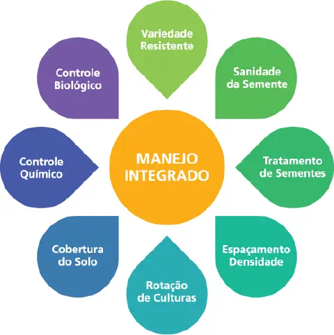 infográfico que ilustra o conceito de 'Manejo Integrado' na agricultura. No centro, um círculo laranja destaca