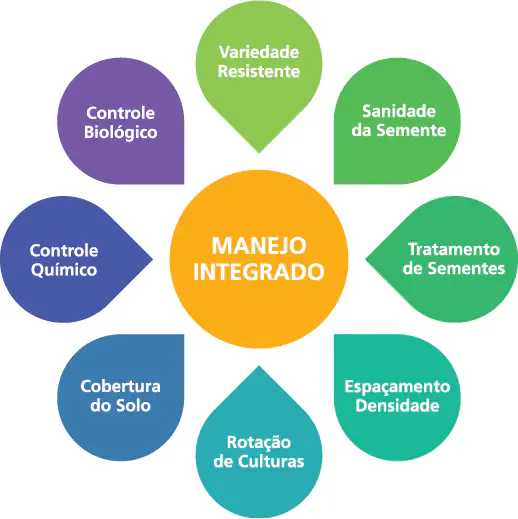 Manejo Integrado: Os Pilares para uma Lavoura Saudável infográfico que ilustra o conceito de 'Manejo Integrado' na agricultura. No centro, um círculo laranja destaca