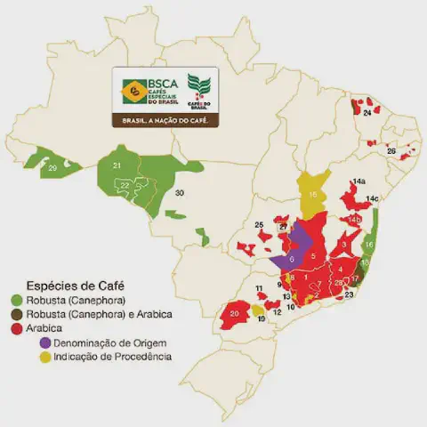 mapa infográfico do Brasil que detalha as principais regiões produtoras de café. Utilizando uma legenda de