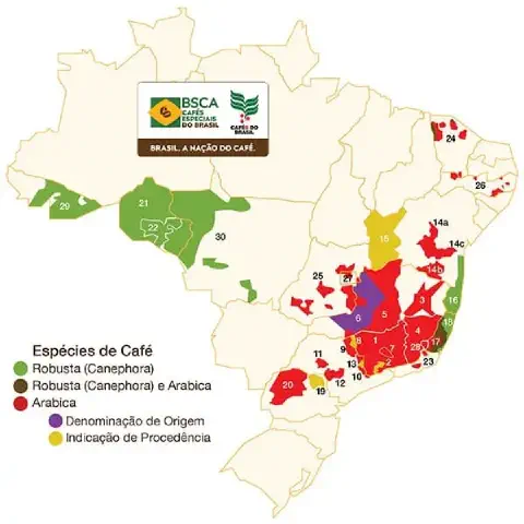 mapa infográfico do Brasil que detalha as principais regiões produtoras de café. Utilizando uma legenda de