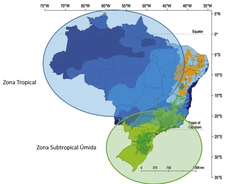 mapa climático do Brasil, destacando suas principais zonas climáticas. Utilizando uma paleta de cores varia
