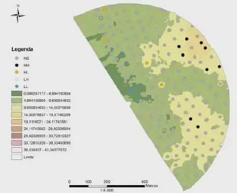mapa técnico de análise espacial de uma área agrícola, provavelmente um talhão. Ele utiliza um mapa de