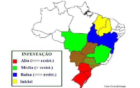 mapa do Brasil com os estados coloridos para indicar diferentes níveis de infestação e resistência de uma p