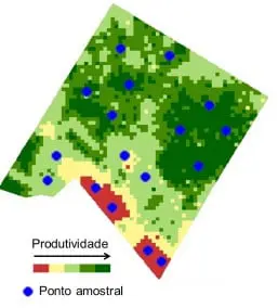 mapa de produtividade de uma área agrícola, uma ferramenta essencial na agricultura de precisão. O talhão é