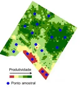 mapa de produtividade de uma área agrícola, uma ferramenta essencial na agricultura de precisão. O talhão é