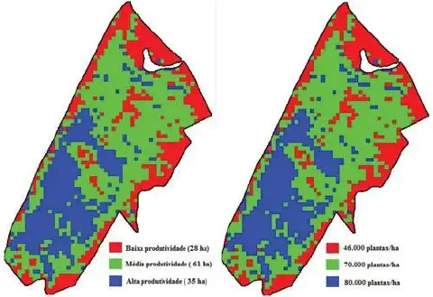uma comparação lado a lado de dois mapas de um mesmo talhão agrícola, ilustrando um conceito fundamental da ag