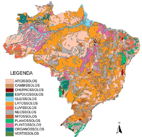 mapa pedológico detalhado do Brasil, ilustrando a complexa distribuição dos diferentes tipos de solo em tod