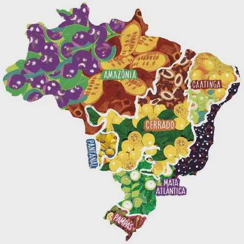 Esta imagem é uma representação artística e estilizada do mapa do Brasil, destacando a rica biodiversidade de seus principais