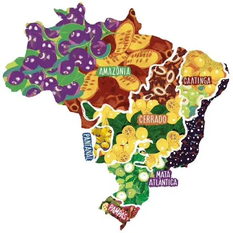 Esta imagem é uma representação artística e estilizada do mapa do Brasil, destacando a rica biodiversidade de seus principais