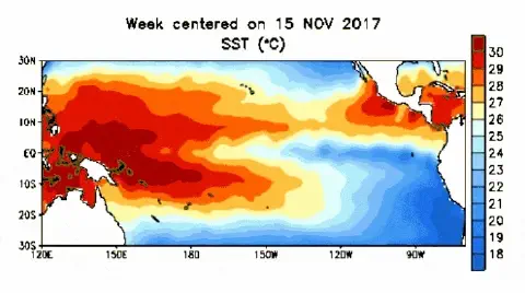 mapa de calor que ilustra a Temperatura da Superfície do Mar (TSM ou SST, em inglês) no Oceano Pacífico, centra