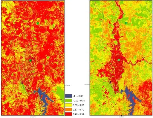 uma análise comparativa de duas imagens de satélite de uma mesma área agrícola, processadas para gerar mapas d