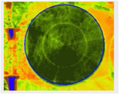 uma análise de sensoriamento remoto de uma área agrícola, especificamente uma lavoura irrigada por pivô centra