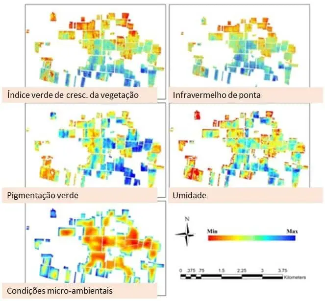 Mapas de Análise Agrícola para Gestão de Precisão conjunto de cinco mapas de calor que analisam diferentes variáveis agronômicas de uma mesma área agrícola,