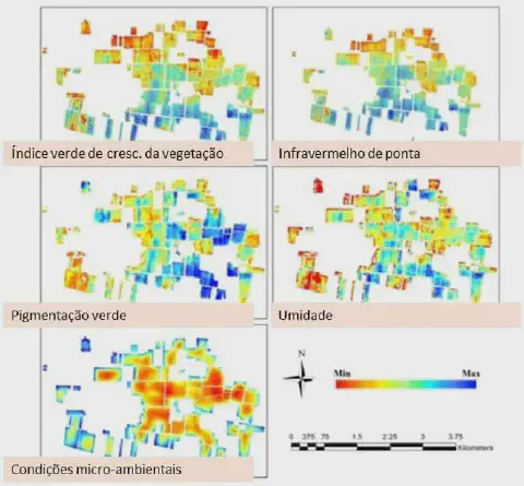 conjunto de cinco mapas de calor que analisam diferentes variáveis agronômicas de uma mesma área agrícola,