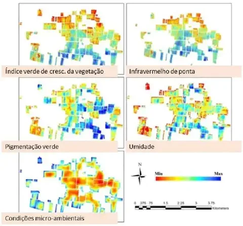 conjunto de cinco mapas de calor que analisam diferentes variáveis agronômicas de uma mesma área agrícola,