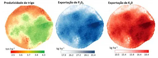 três mapas de calor lado a lado, representando dados de uma mesma área de cultivo de trigo. O primeiro mapa, à