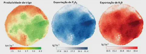 três mapas de calor lado a lado, representando dados de uma mesma área de cultivo de trigo. O primeiro mapa, à
