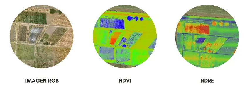 uma comparação de três tipos de visualizações de uma mesma área agrícola, obtidas por sensoriamento remoto. A