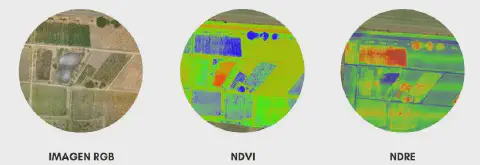 uma comparação de três tipos de visualizações de uma mesma área agrícola, obtidas por sensoriamento remoto. A