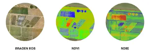 uma comparação de três tipos de visualizações de uma mesma área agrícola, obtidas por sensoriamento remoto. A