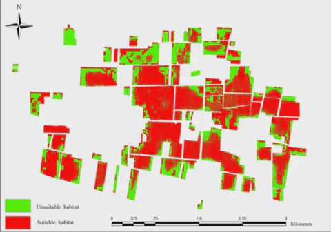 mapa técnico de uma área agrícola, provavelmente gerado por um sistema de informação geográfica (SIG) ou so