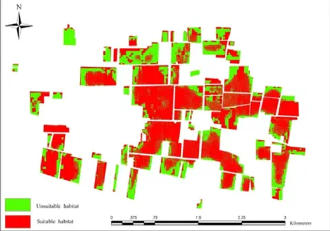mapa técnico de uma área agrícola, provavelmente gerado por um sistema de informação geográfica (SIG) ou so
