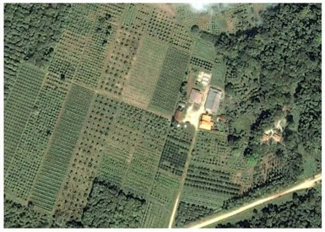 uma vista aérea de uma propriedade rural, capturada por satélite ou drone, mostrando uma paisagem agrícola bem