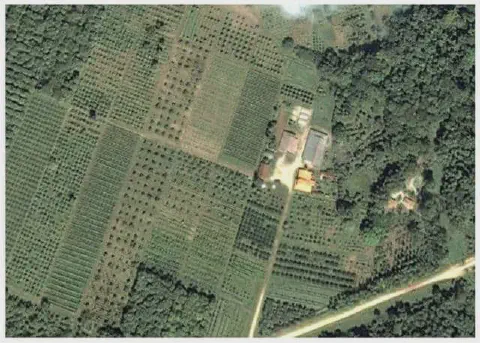 uma vista aérea de uma propriedade rural, capturada por satélite ou drone, mostrando uma paisagem agrícola bem