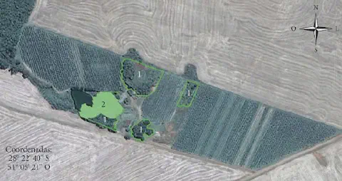 uma vista aérea de uma propriedade rural, provavelmente capturada por satélite, com diversas áreas demarcadas