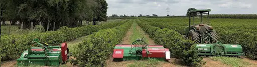 Cronograma de atividades de manejo no Aegro