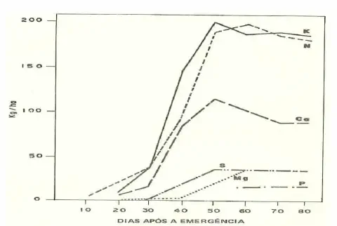 gráfico técnico conhecido como 'marcha de absorção de nutrientes', que ilustra a quantidade de diferentes m