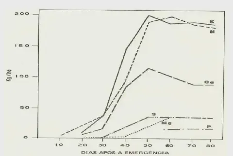 gráfico técnico conhecido como 'marcha de absorção de nutrientes', que ilustra a quantidade de diferentes m