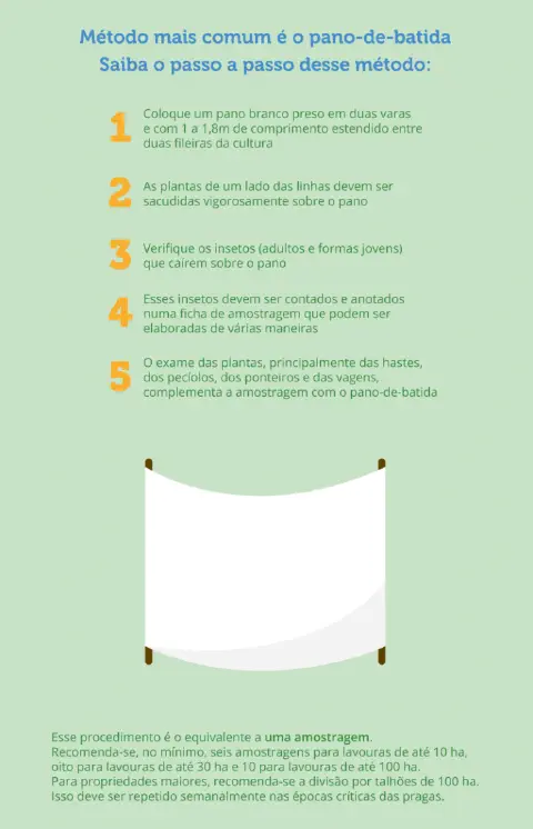 infográfico educativo que detalha o método do &amp;quot;pano-de-batida&amp;quot;, uma técnica fundamental no manejo integrado de