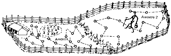 desenho técnico em preto e branco que ilustra duas metodologias de amostragem em uma área agrícola cercada, com
