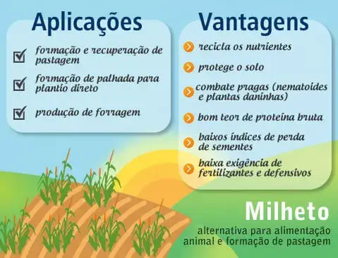 Este é um infográfico informativo sobre o milheto, destacando suas aplicações e vantagens na agricultura. A imagem é dividida